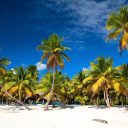 Un voyage plein d’émotions aux Bahamas