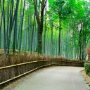 Les trois villes immanquables au Japon