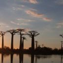 Morondava, une adresse de choix pour passer des vacances exceptionnelles