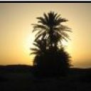 Que des beaux souvenirs à Djerba !