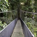 Suivre les sentiers battus dans les parcs nationaux au Costa Rica