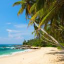 En route pour le Sri Lanka, une île envoûtante d’Asie