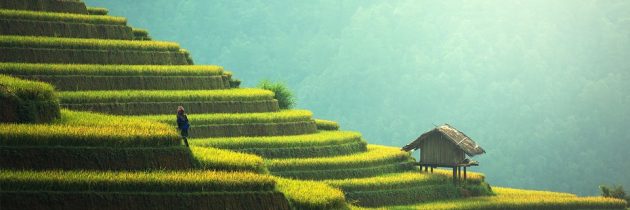 La météo, le climat, les pluies, savoir quand partir au Cambodge