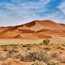 Découvrir la Namibie