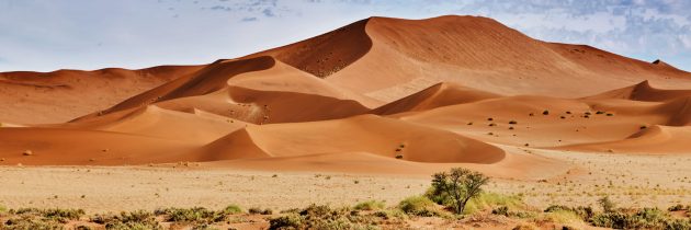 Découvrir la Namibie