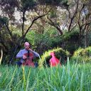 RANDONNER EN MUSIQUE A L’ILE DE LA REUNION