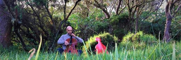 RANDONNER EN MUSIQUE A L’ILE DE LA REUNION