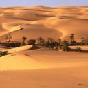 Le Maroc : Un désert pas comme les autres