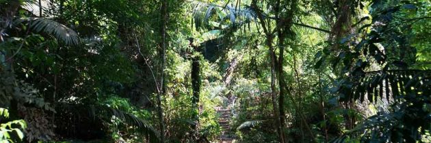 Le récit nostalgique d’un trek à Chiang Mai