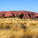 Quel parcours réaliser pour visiter le bush australien ?