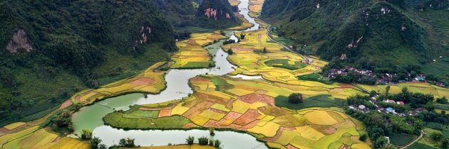 Quelques conseils à savoir pour préparer un voyage au Vietnam