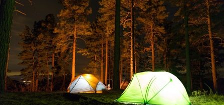 Camping en Loire-Atlantique (44) : des vacances nature près de Pornic