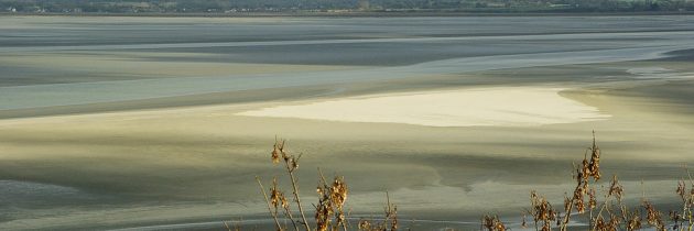 Assurer des vacances réussies sur les plages de Basse-Normandie