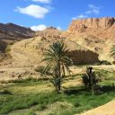 Tunisie : le top 5 des randonnées à découvrir !