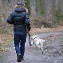 Comment organiser des vacances en famille avec un son chien ?